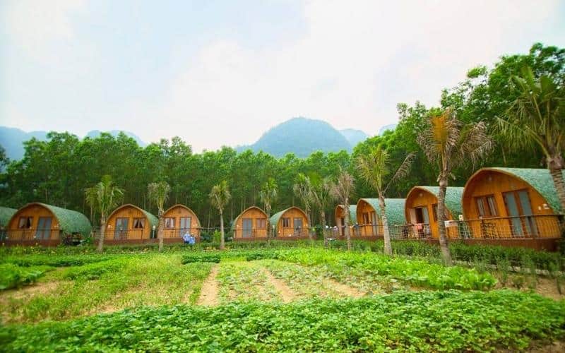 Đơn vị thi công bungalow Ninh Bình giá rẻ