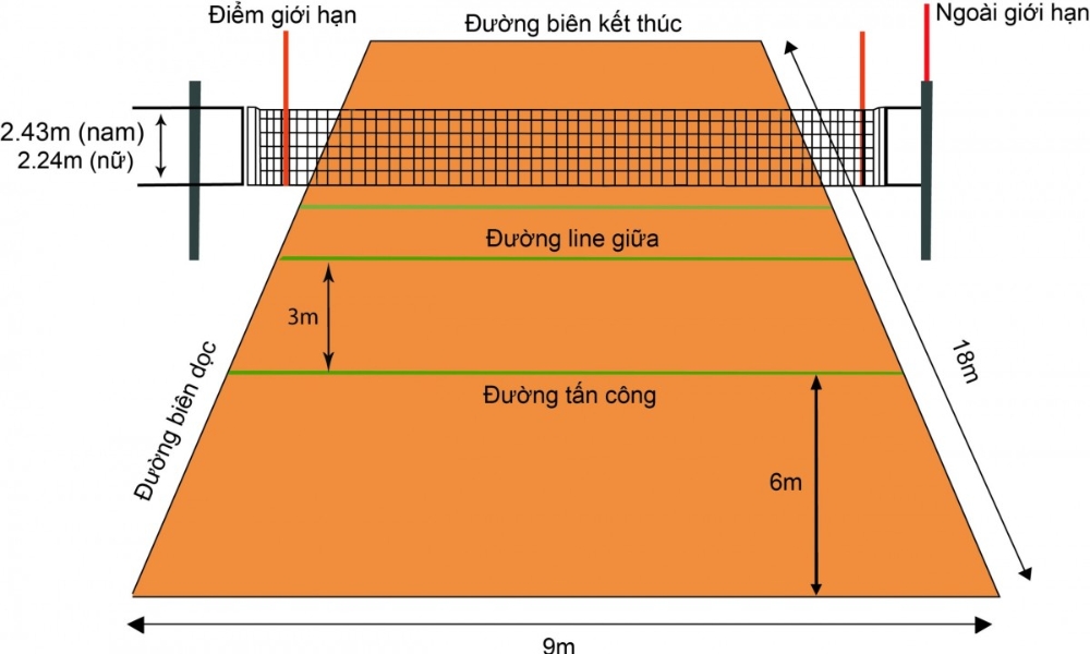 Kích thước sân bóng chuyền tiêu chuẩn quốc tế